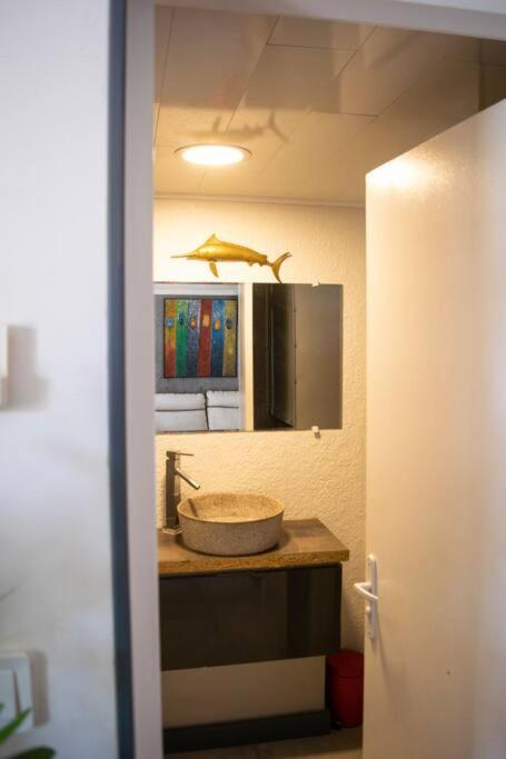 Appartement Le Flamboyant à Saint-Gilles Les Bains Extérieur photo